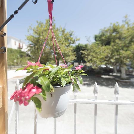 Hotel Finikas メトーニ エクステリア 写真
